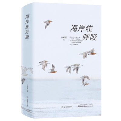 海岸线呼吸