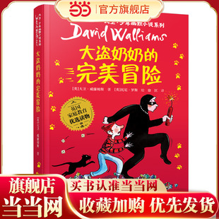 当当网正版童书 《大盗奶奶的完美冒险》（2023年百班千人暑期书单 三年级推荐阅读）