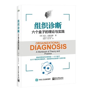 胡智丰 理论与实践 电子工业出版 社 书籍 当当网 正版 组织诊断：六个盒子