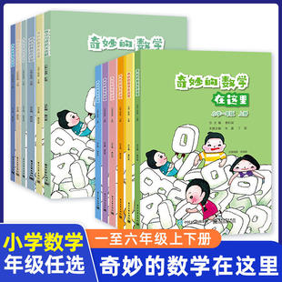 奇妙 社 数学在这里一二三四五六年级上册下册唐彩斌特级教师公开教学课丰富数学理解书籍小学123456年级数学思维训练电子工业出版