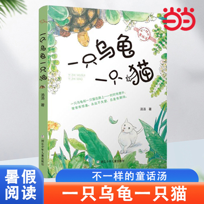不一样的童话汤一只乌龟一只猫