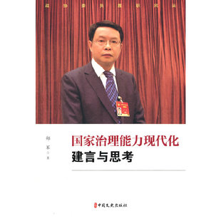 国家治理能力现代化建言与思考