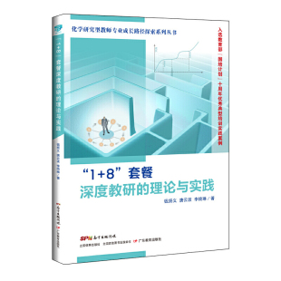 套餐深度教研 化学研究型教师专业成长路径探索系列丛书· 理论与实践