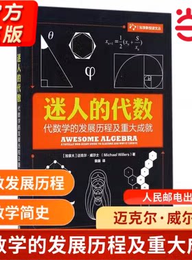 当当网 迷人的代数 代数学的发展历程及重大成就有趣得的让人睡不着的数学之美什么这才是迷人的数学之书科普书籍人民邮电出版正版