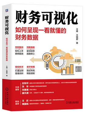 财务可视化：如何呈现一看就懂的财务数据  王峰 王丽君