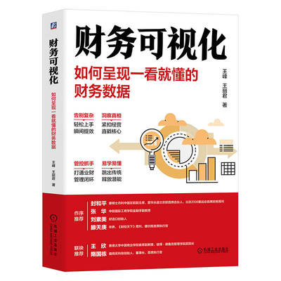 财务可视化：如何呈现一看就懂的财务数据  王峰 王丽君