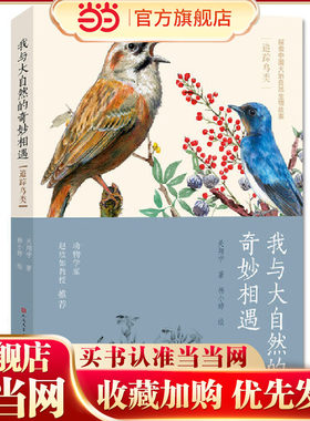 我与大自然的奇妙相遇：追踪鸟类