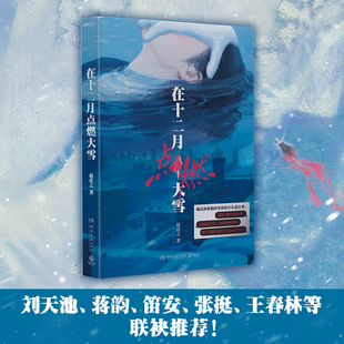 当当网 在十二月点燃大雪 茅盾文学奖评委文学评论家王春林推荐阅读 东北女作家赵彦之凿出冰面下的东北往事 现代文学小说故事书籍