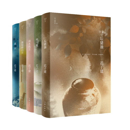 当当网 迟子建小说自选集（套装共5册）一坛猪油+炖马靴+最短的白日+清水洗尘+逝川 作家出版社 正版书籍茅盾文学奖得主作品畅销书