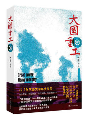 当当网 大国重工·肆（硬核工业大作，荣获第五届中国政府出版奖，首届天马文学奖获奖作品， 齐橙 上海文艺出版社 正版书籍