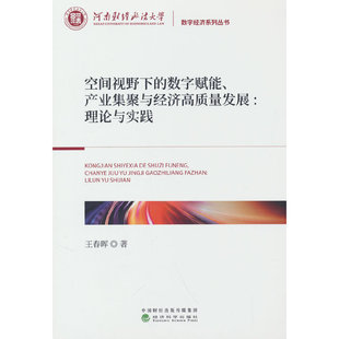 空间视野下 产业集聚与经济高质量发展：理论与实践 数字赋能