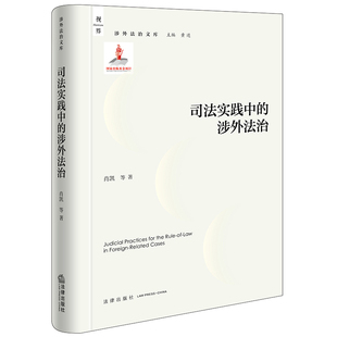 司法实践中 涉外法治