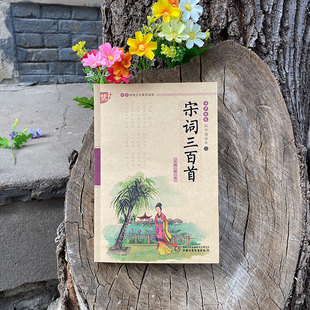 书声琅琅 宋词三百首 国学诵读