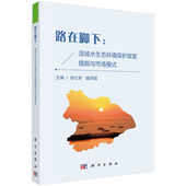 工业技术 路在脚下：流域水生态环境保护政策措施与市场模式 科学出版 书籍 当当网 正版 社