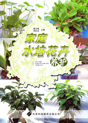 家庭水培花卉养护