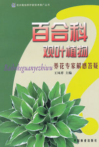 百合科观叶植物(养花专家解惑答疑)