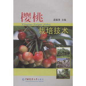 樱桃栽培技术