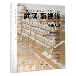 武汉 新视线(2016)中山大道