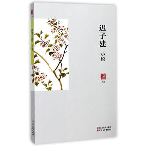 名家小说典藏：迟子建小说