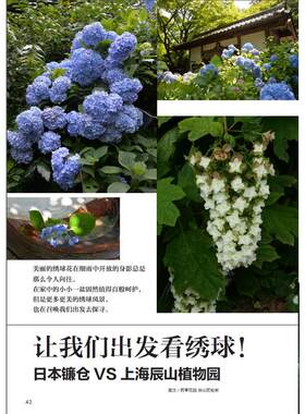 当当网 绿手指园艺花园MOOK·绣球号 FG武蔵 湖北科学技术出版社 正版书籍