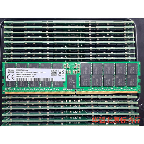 SK海力士DDR5-ECC-RDIMM内存条