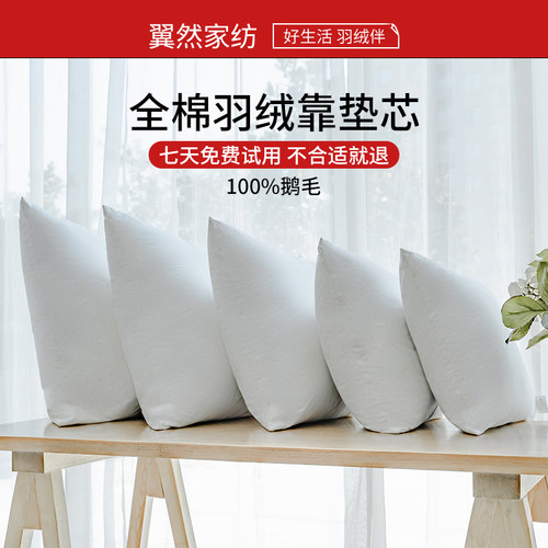 酒店沙发床头羽绒50抱枕