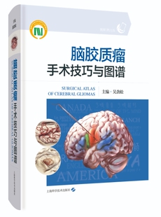 脑胶质瘤手术技巧与图谱