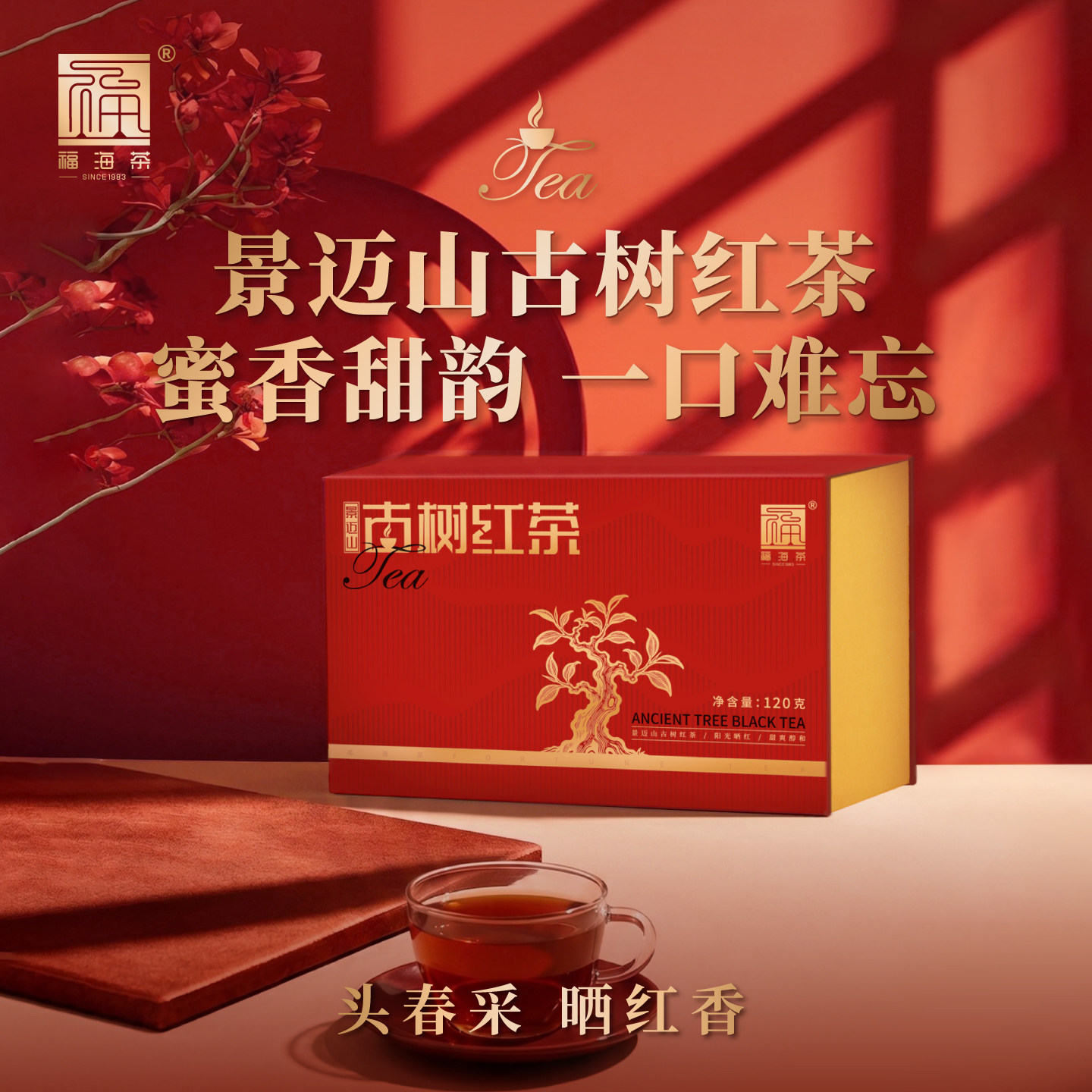 福海茶厂新品景迈山古树红茶礼盒头春晒红蜜香甜韵云南特色滇红茶