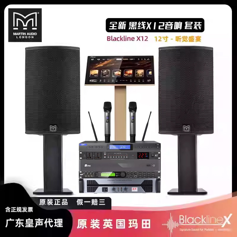原装英国玛田音响（假一赔十） 玛田X12音箱 家庭娱乐KTV音响套装