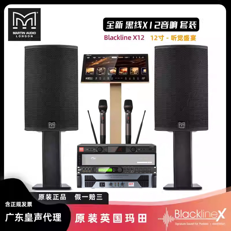 原装英国玛田音响（假一赔十） 玛田X12音箱 家庭娱乐KTV音响套装