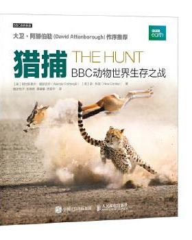 正版现货： 猎捕：BBC动物世界生存之战 9787115449979 人民邮电出版社 [英]阿拉斯泰尔·福瑟吉尔(Alastair Fothergill),胡·科里