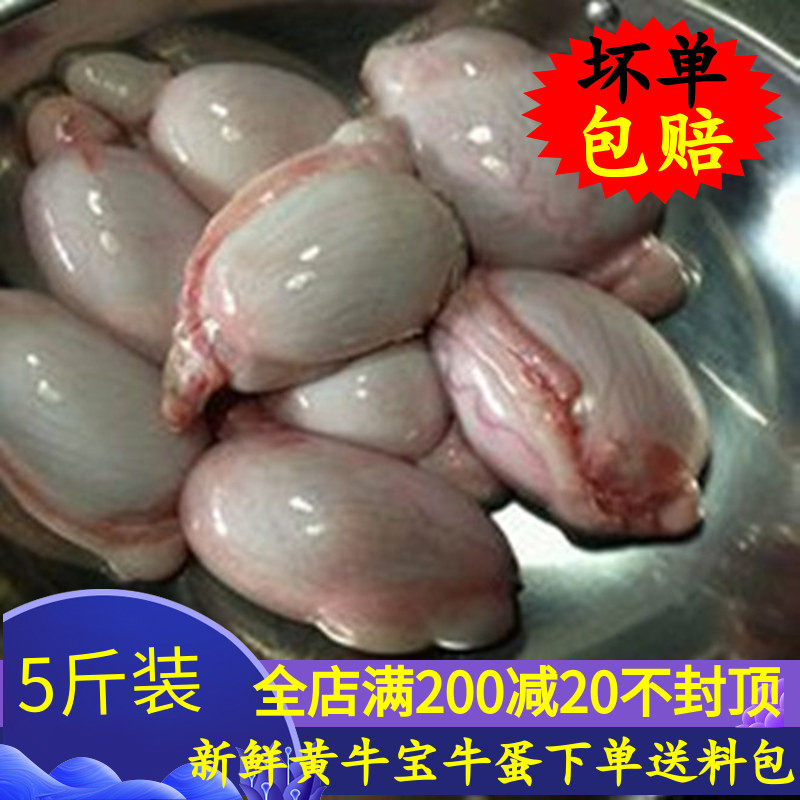 牛鞭现杀新鲜黄牛宝牛蛋牛睾丸泡酒牛鞭新鲜男用牛腰子牛肉新鲜包