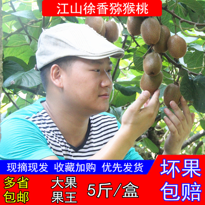 徐香冷藏猕猴桃江山奇异果