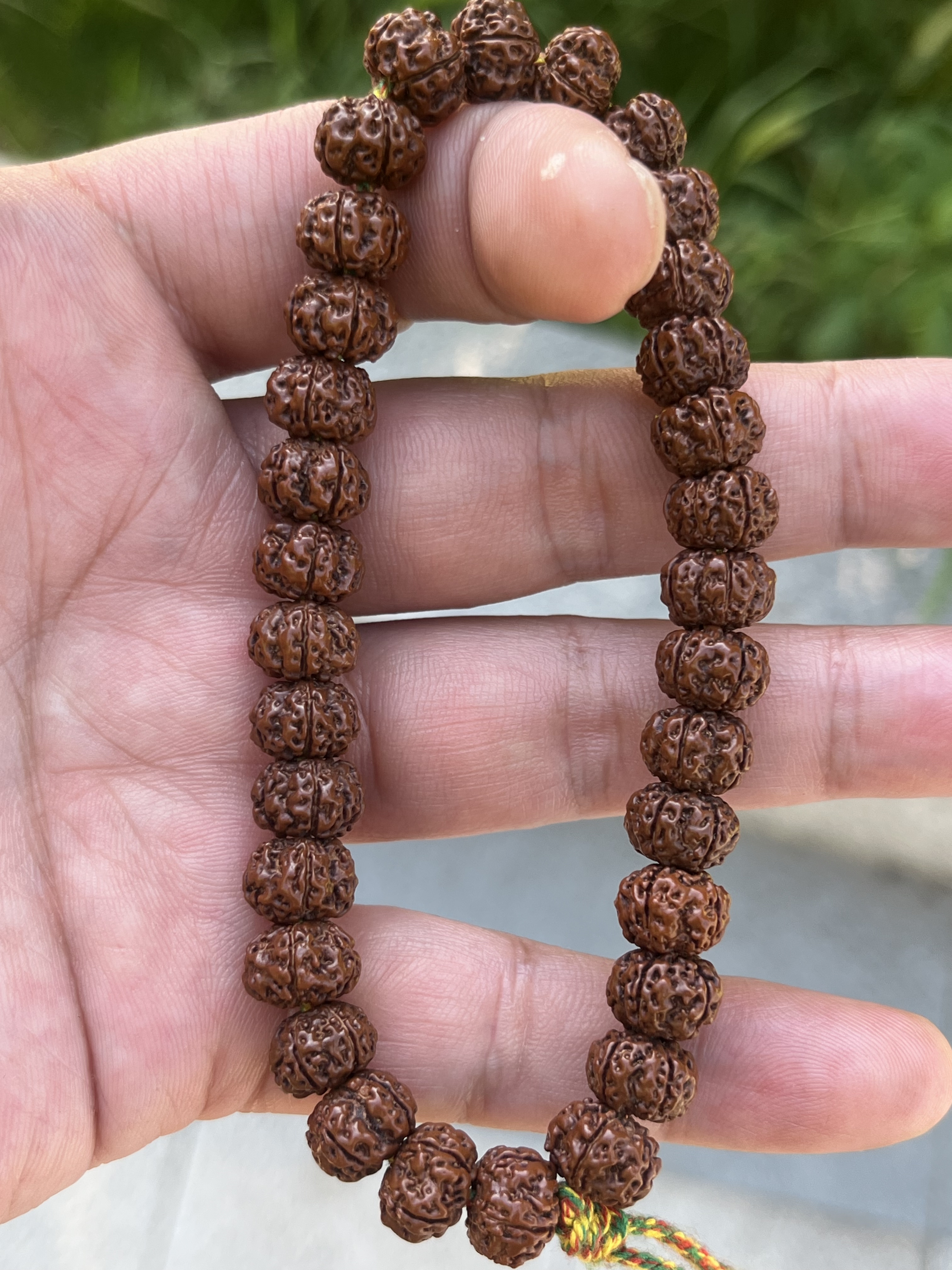 小金刚手串手串老树南瓜梅花10菩提