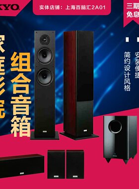 Onkyo/安桥 SKS-HT4800 家庭影院音箱套装 SKW-501E低音炮