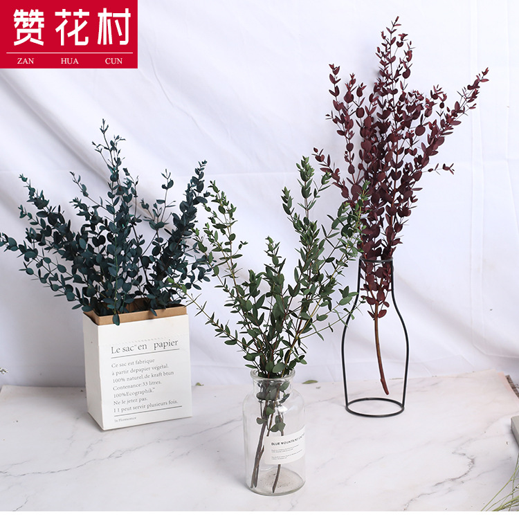 细叶永生尤加利叶云南干花花束 真花花环相框配花DIY花材干花