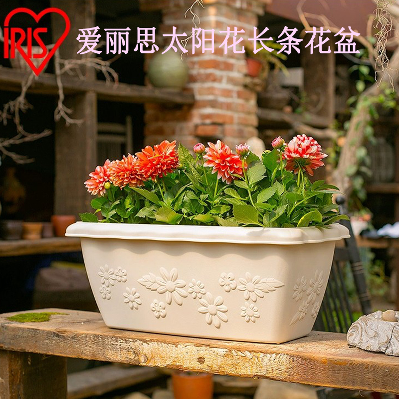爱丽思花盆太阳花浮雕树脂塑料大号长条草莓盆栽阳台长方形种菜盆