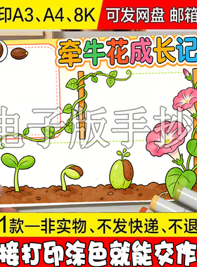 Y99 牵牛花植物记录卡手抄报我的植物朋友观察黑白线稿电子版小报