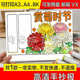 菊花之美欣赏时节主题手抄报定制绘画改线描小学定作A3A4代画幼儿