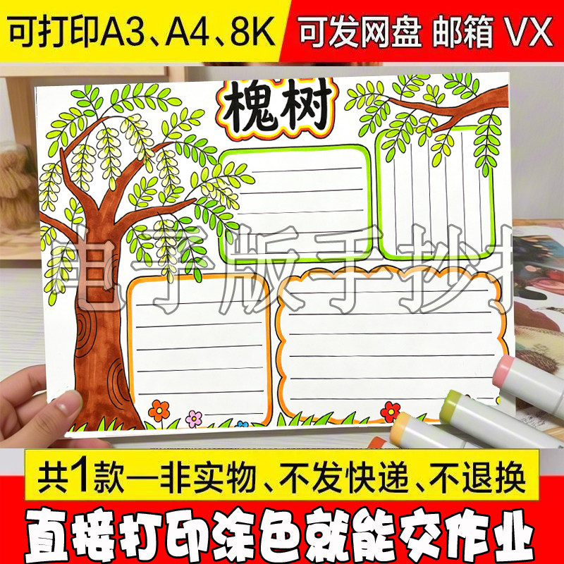 植物记录卡槐树手抄报线稿涂色植物朋友自然笔记A4/A3/8K电子小报