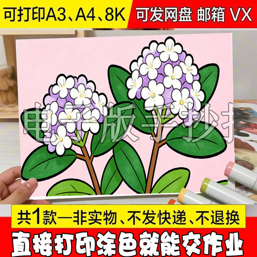 【38 石楠花介绍手抄报模板植物观察日记卡片自然笔记电子版线稿