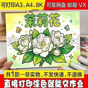 茉莉花手抄报茉莉花植物自然笔记植物名片素材模板观察日记电子版