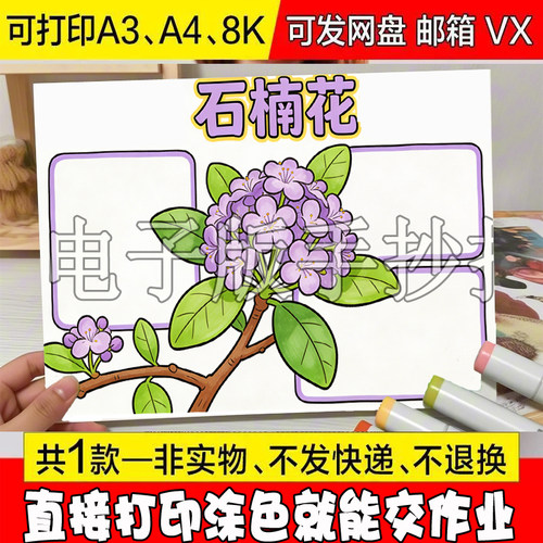 -13石楠花介绍手抄报模板植物观察日记卡片自然笔记电子版线稿，