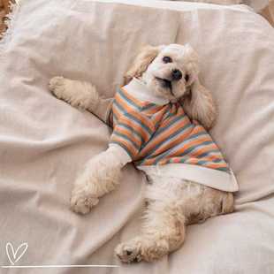 可卡犬泰迪吉娃娃比熊狗狗衣服春秋薄款条纹打底卫衣