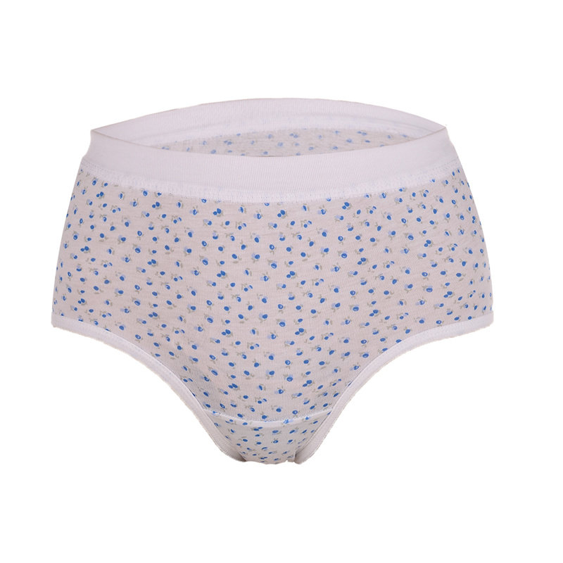 Slip Moyen-âge A B-0182-2 en coton - Ref 641769 Image 5