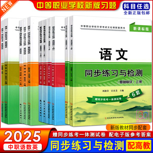 2025中职同步练习与检测语文数学英语基础拓展模块上下册新课标中等职业学校十四五高教版 教材同步练习册职高对口升学习题 外研版