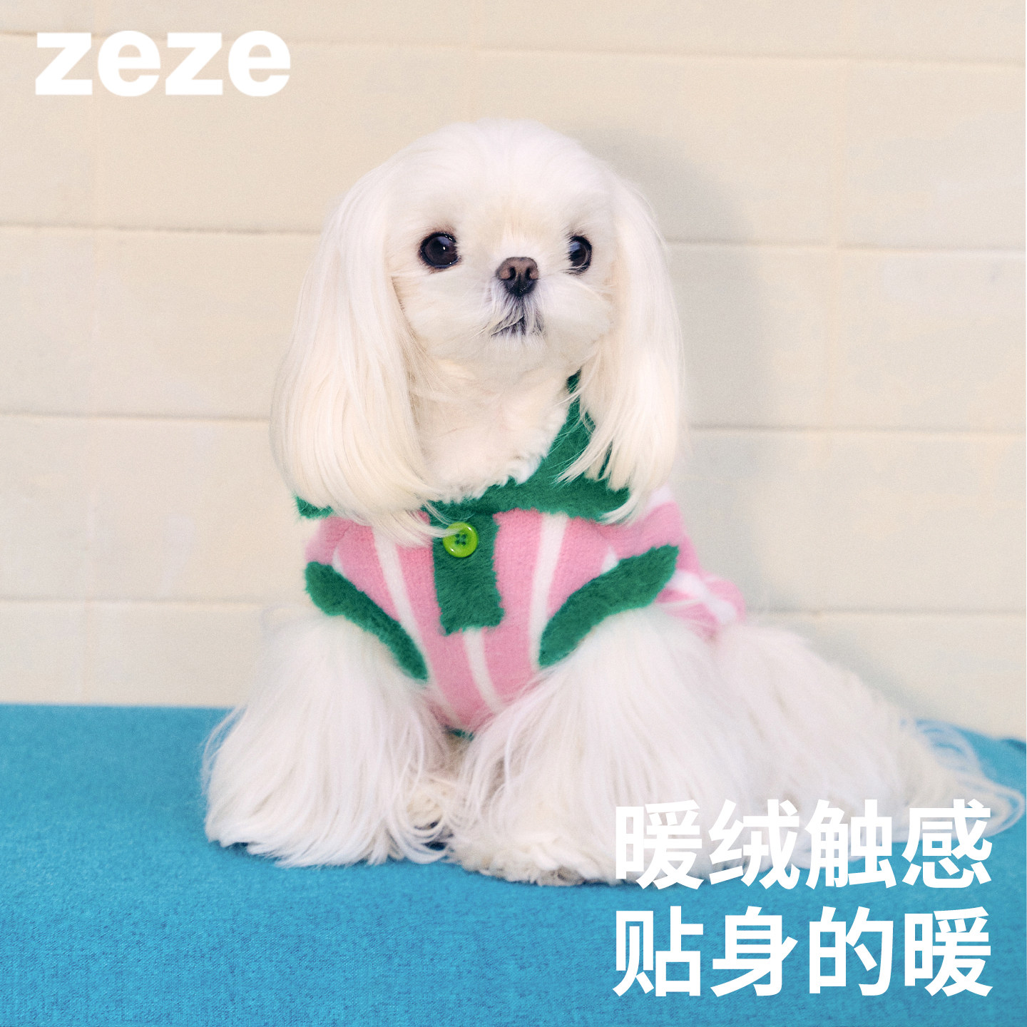 zeze绒绒宠物毛衣狗狗衣服冬季衣服冬装保暖猫衣服针织衬衫比熊,宠物/宠物食品及用品,狗宠物服装/雨衣,淘宝优惠券,粉丝福利购,淘宝优惠卷