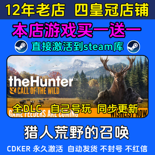 猎人荒野的召唤 steam游戏CDKEY激活码 永久入库电脑全DLC 包更新