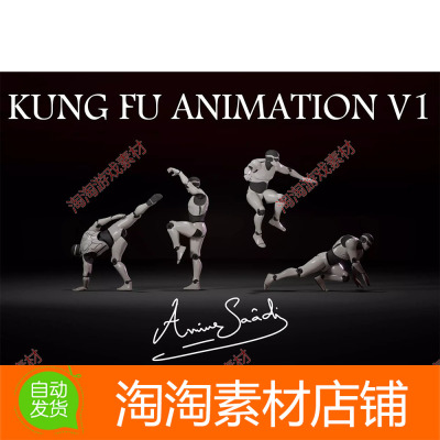 Unity3d Combat animations - Kung fu V1 1.0 功夫动画