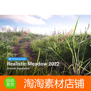 Unity Realistic Meadow 2022 Ground Vegetation 2022.0.1